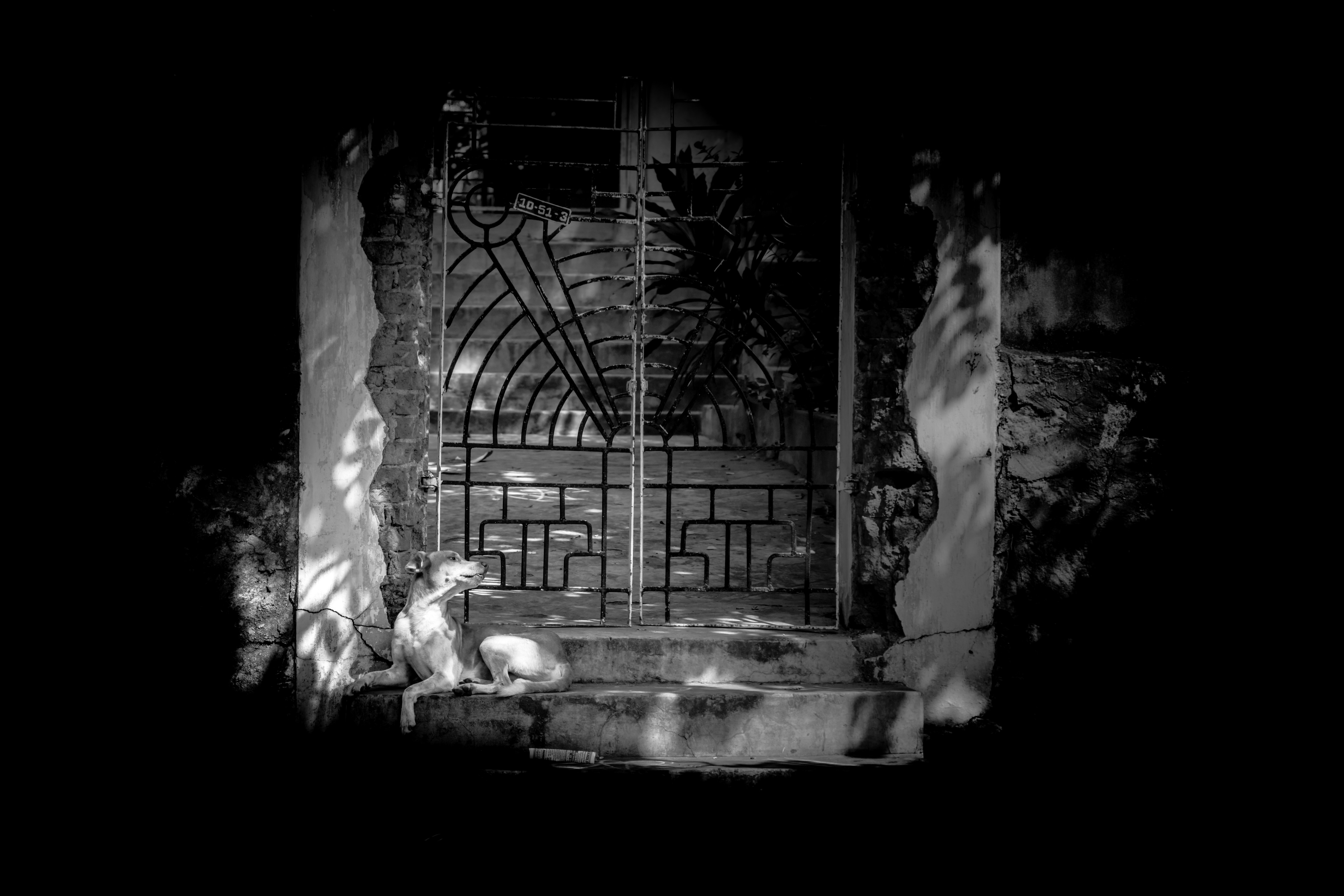 Photo by worldsbetweenlines