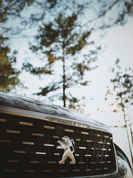 close-up photography of Peugeot grille