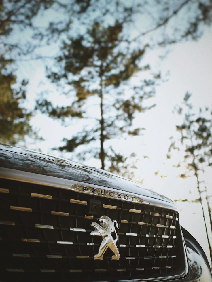 Auto Peugeot