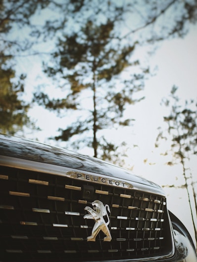 close-up photography of Peugeot grille