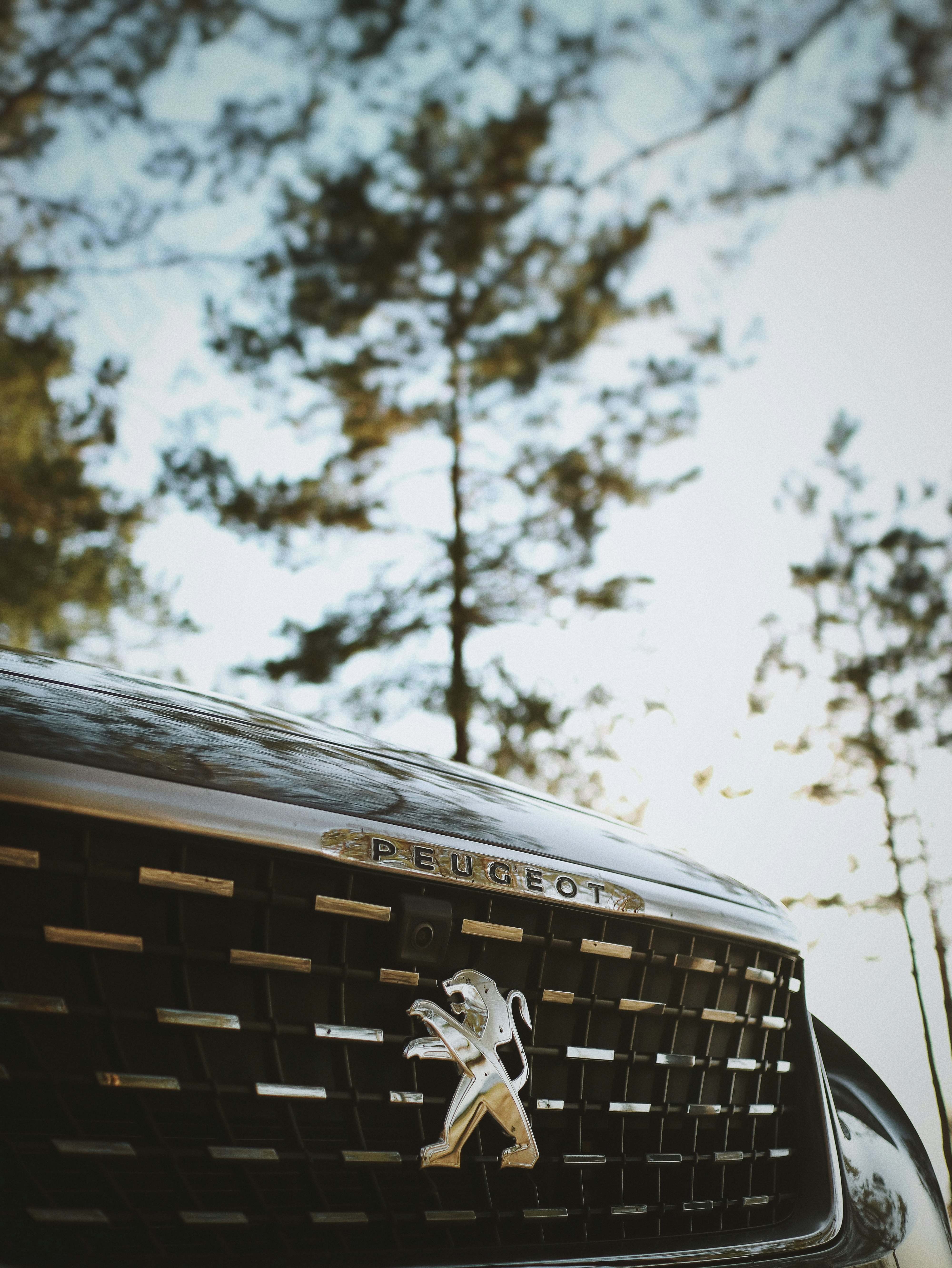 close-up photography of Peugeot grille