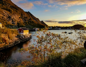 A cozy seaside mobile home with colorful flowers blooming around the porch at sunset.