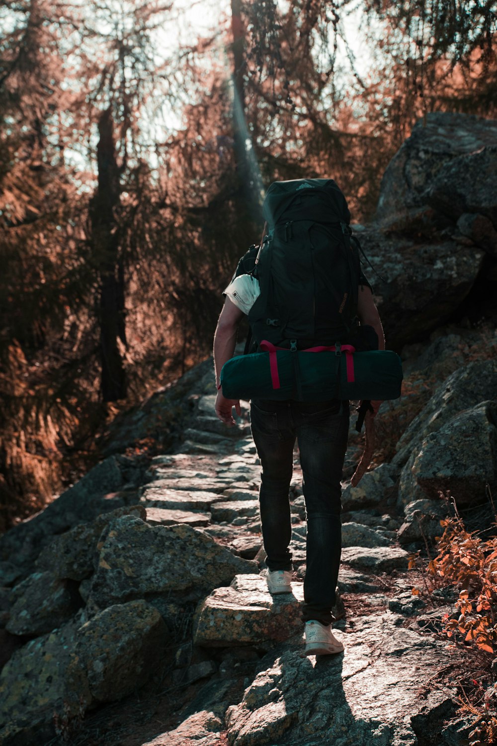 person carrying backpack walking beside cliff