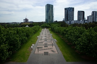 A symmetrical pathway lined with tall green trees leads towards a series of modern high-rise buildings in the background. The pathway is surrounded by well-maintained grass and has several benches along its edges. The skyline features several cranes and under-construction structures, indicating urban development.