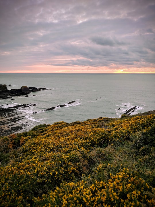 photo of Hartland Shore near Tintagel Castle