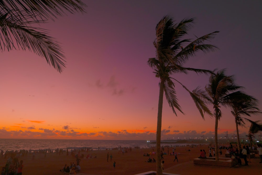 crimson sky over people in beach at sunset