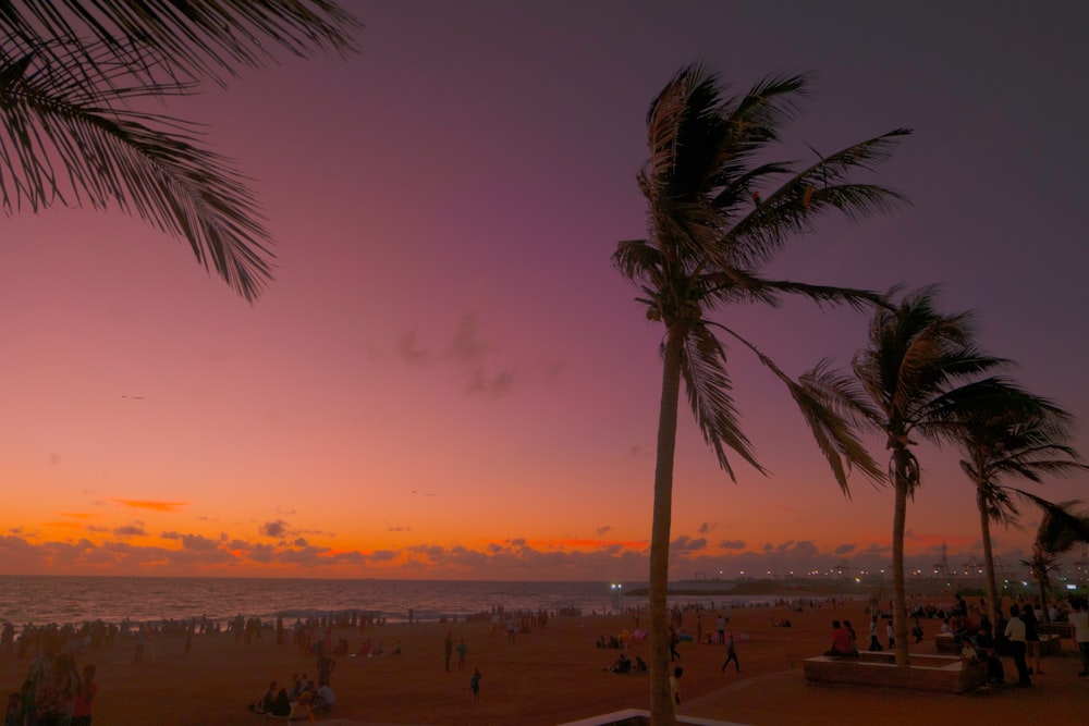 Purpurroter Himmel über Menschen am Strand bei Sonnenuntergang