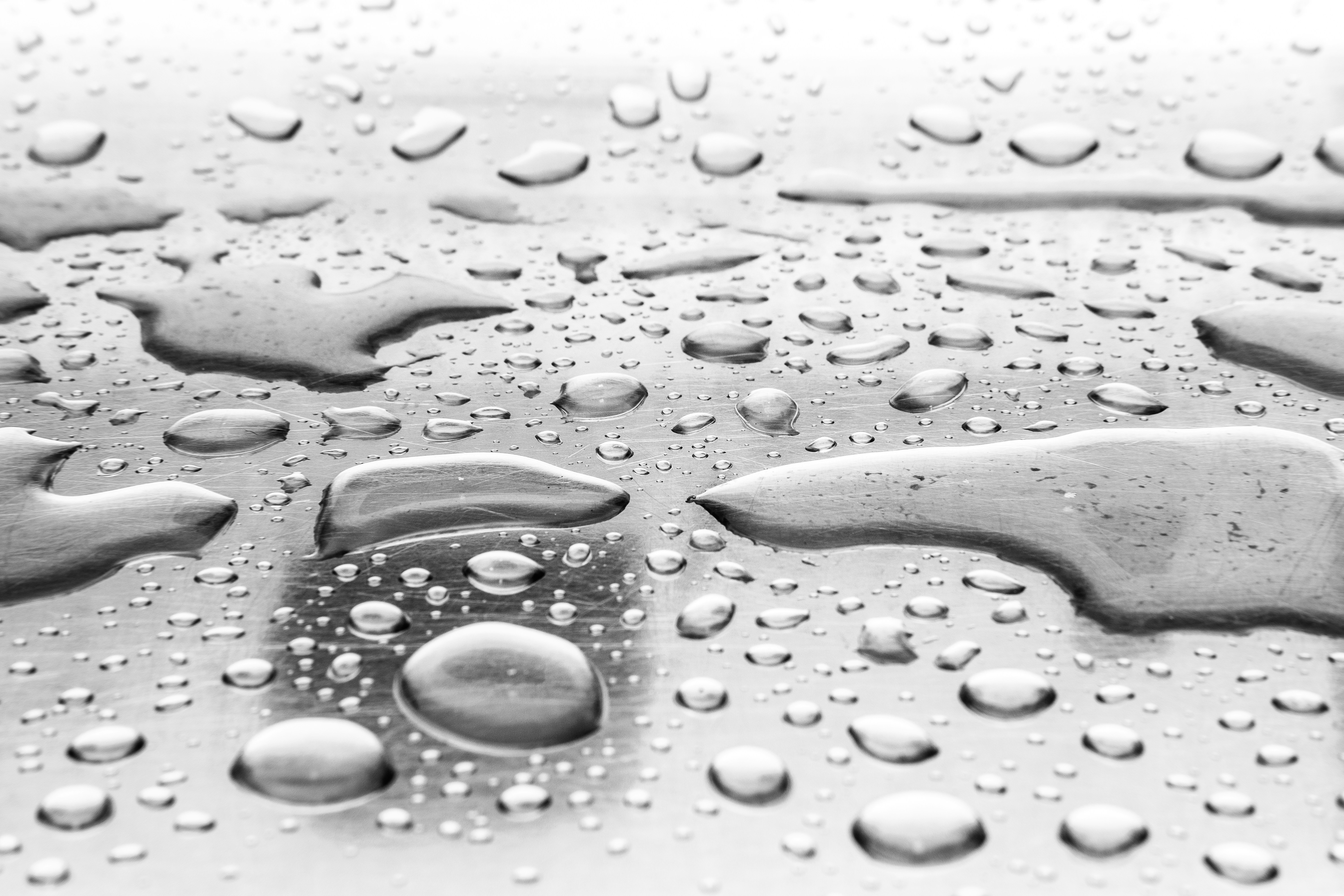 photo-1541511458002-4c3438133ab3?ixlib=rb-1.2.1&ixid=eyJhcHBfaWQiOjEyMDd9&auto=format&fit=crop&w=1500&q=80