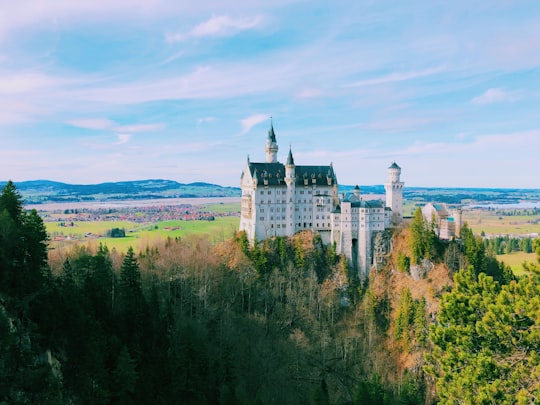 castle above hill surrounded by trees in Neuschwanstein Castle Germany