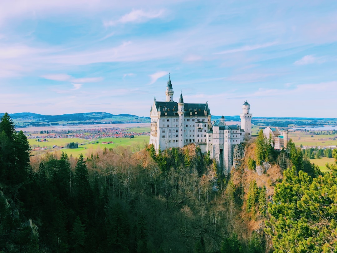 castle above hill surrounded by trees,