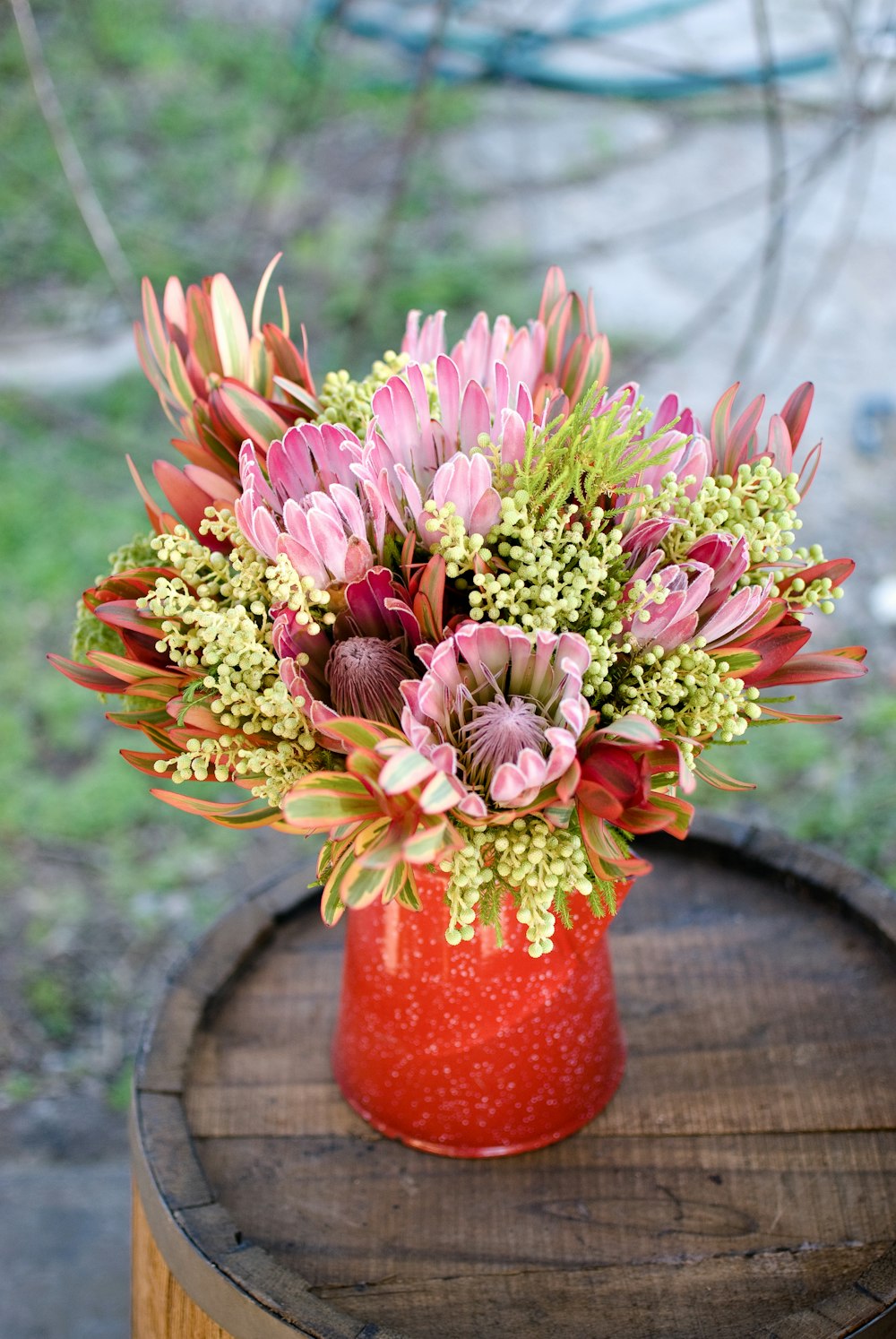 purple and red flowers in red vase