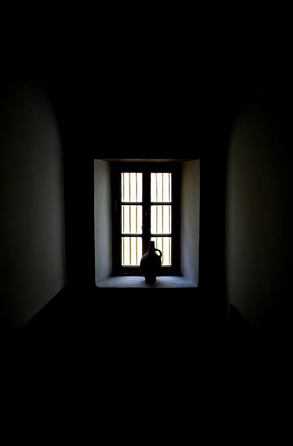 silhouette of bottle near window