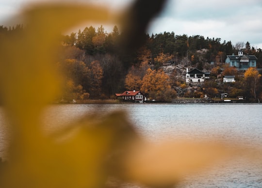 trees and houses beside body of water in Bredäng Sweden