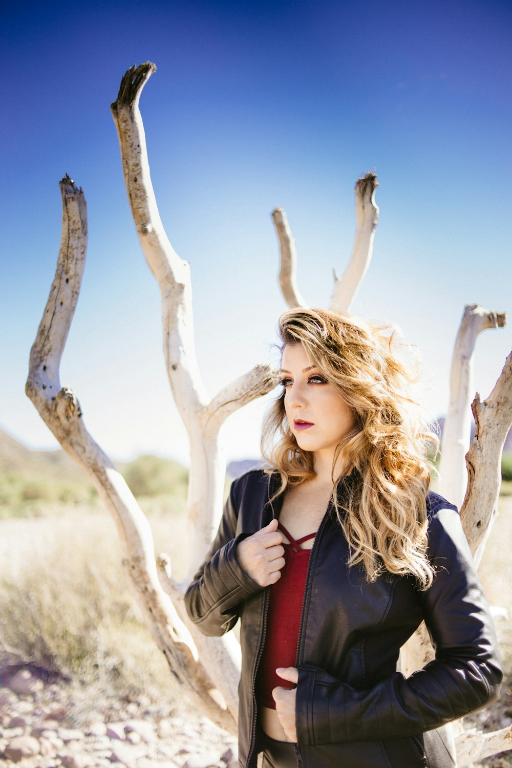 woman standing beside bare-tree