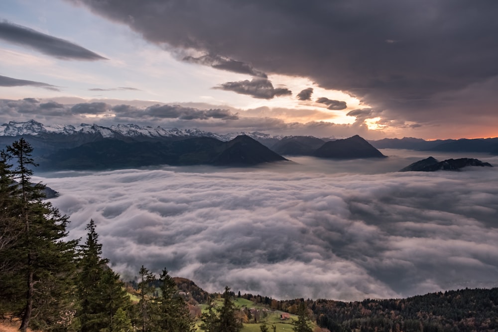 mountains surrounded by trees