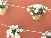 Hanging wall basket rack displaying seasonal fruits and decorative linens in a bright dining room.