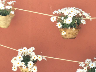 Hanging wall basket rack displaying seasonal fruits and decorative linens in a bright dining room.