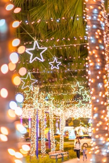 A vibrant display of holiday lights illuminating a neighborhood in Arizona during a festive meetup.