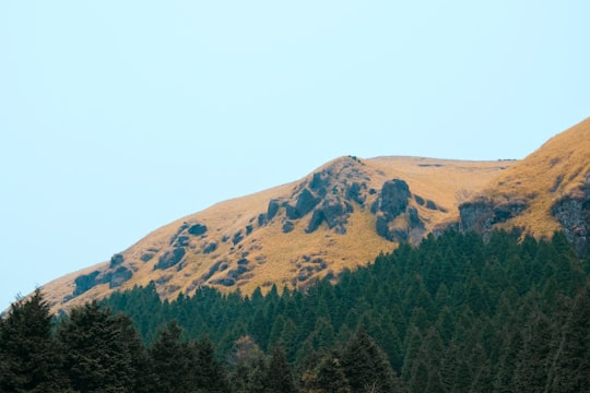 green-leafed trees near mountain during daytime in Kumamoto Prefecture Japan