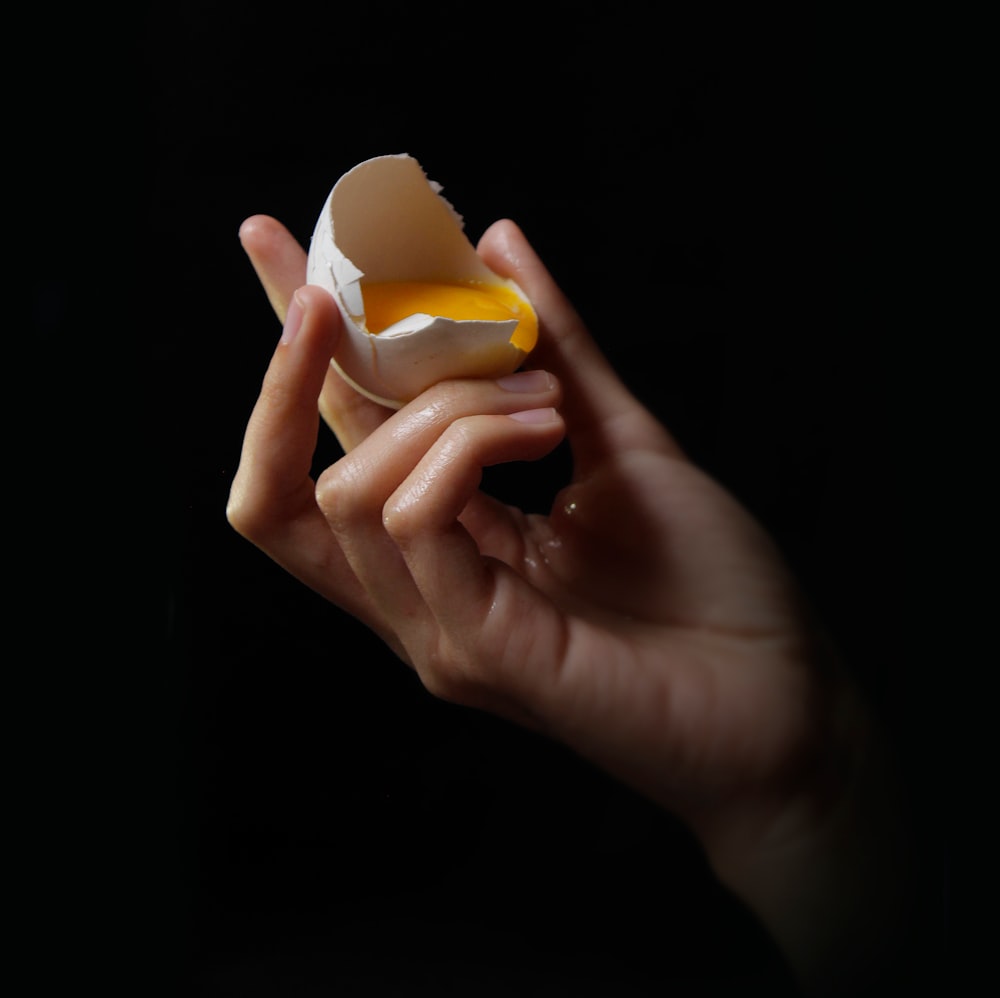 person holding egg