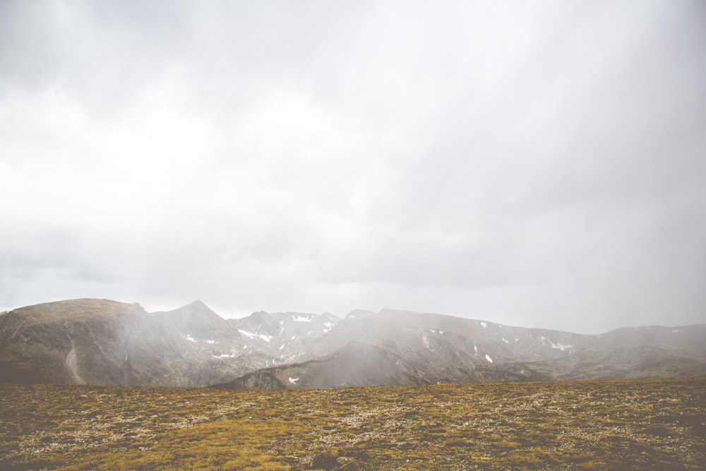 mountains and brown grass field