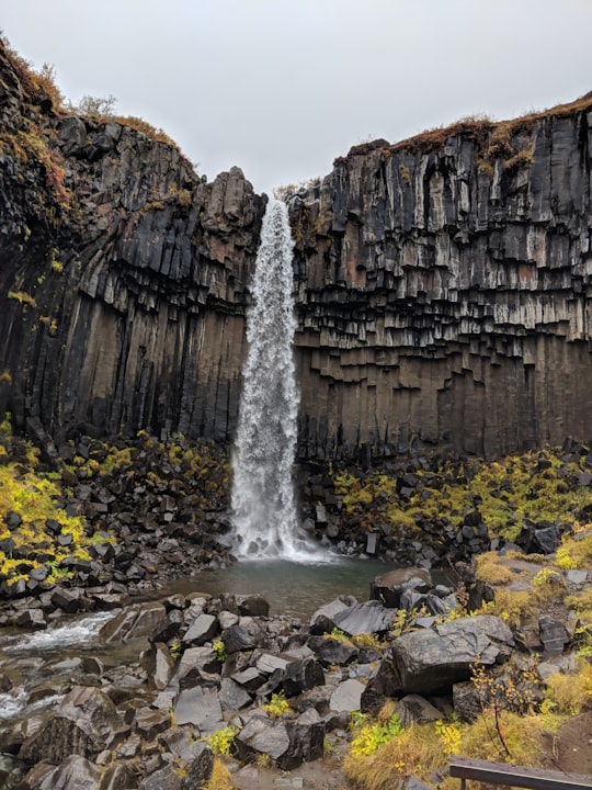 rocky waterfalls in Svartifoss Iceland