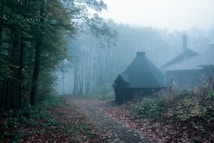 A foggy forest path bordered by trees leads to a wooden cabin with a distinctively shaped roof. The scene is saturated with mist, creating a serene yet mysterious atmosphere. The ground is strewn with fallen leaves, adding a touch of autumn color.