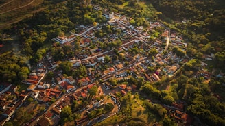 bird's-eye photography of city near trees