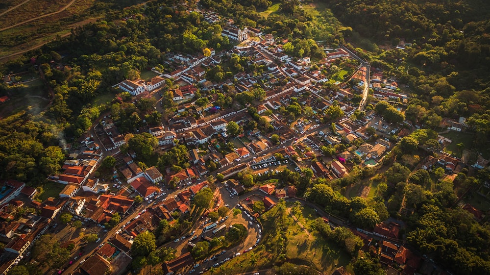 Fotografía a vista de pájaro de la ciudad cerca de los árboles