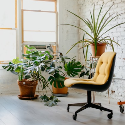 yellow rolling chair near window