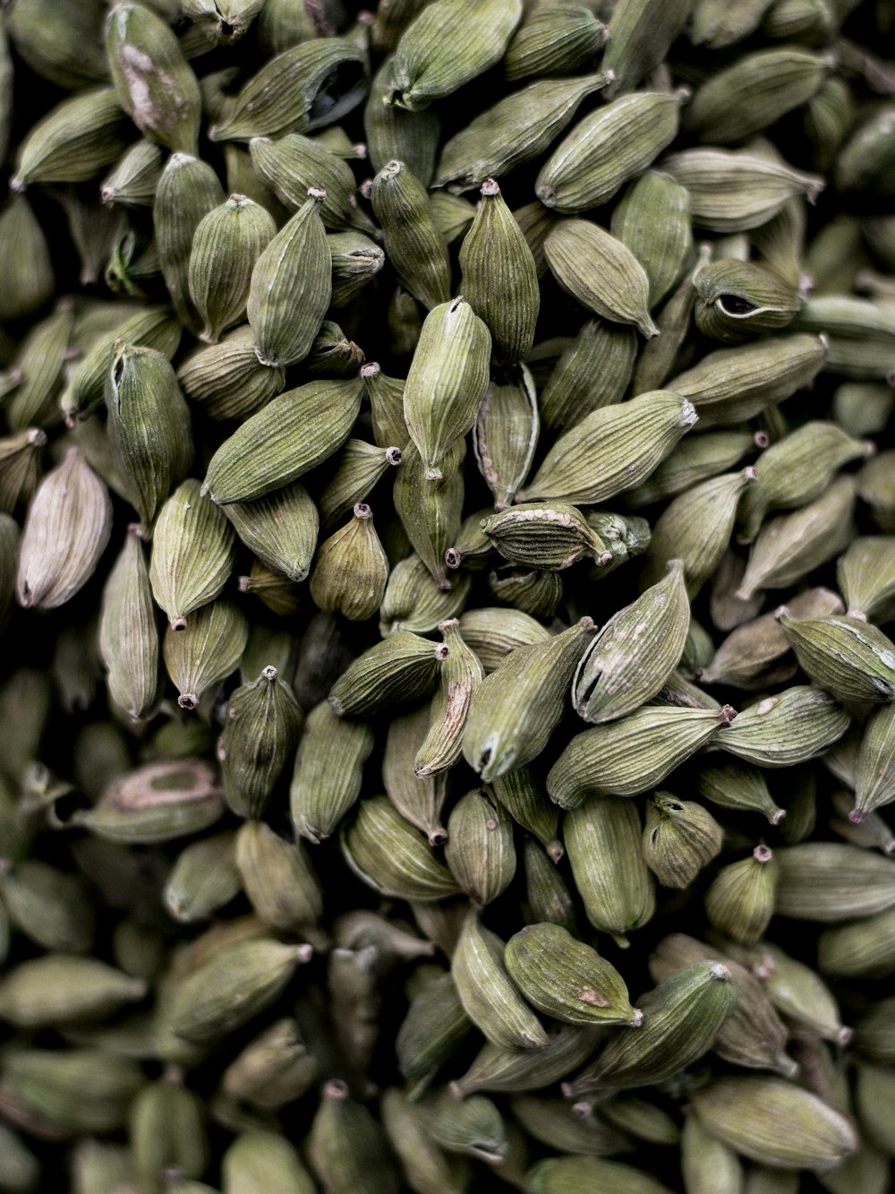 close-up photography of nuts