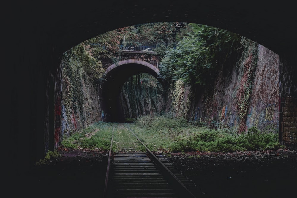 train rail track near trees