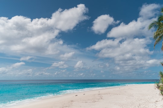 calm body of water near shore in Thoondu Maldives