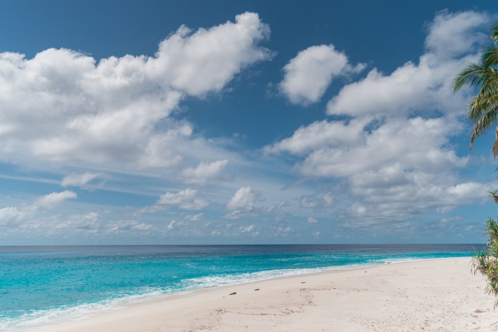 calm body of water near shore