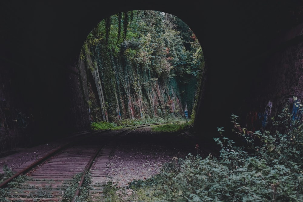 brown railway on tunner