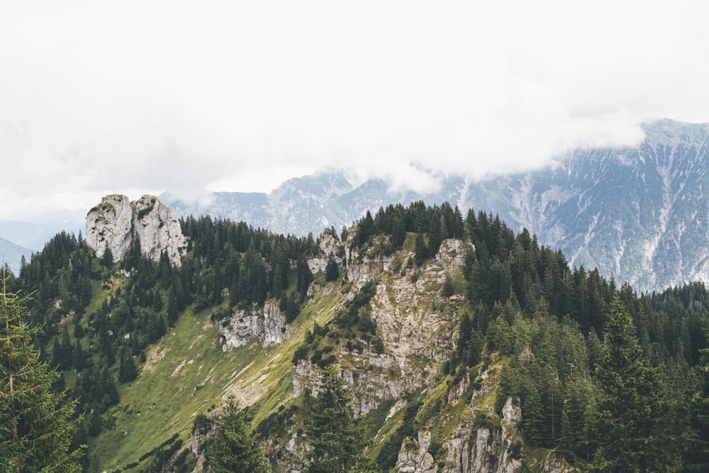 Grüner und brauner Berg tagsüber