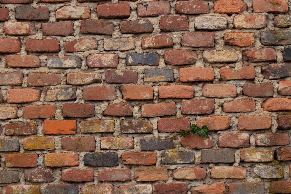 brown brick wall