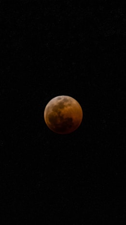 A dark, shadowed moon with a reddish tint is set against a black night sky.