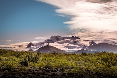 green trees on mountain beautiful google meet background