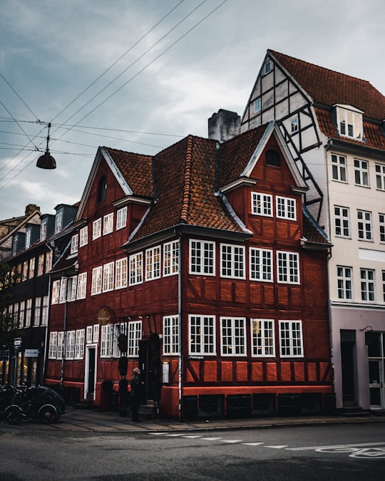 brown brick house in The King's Garden Denmark