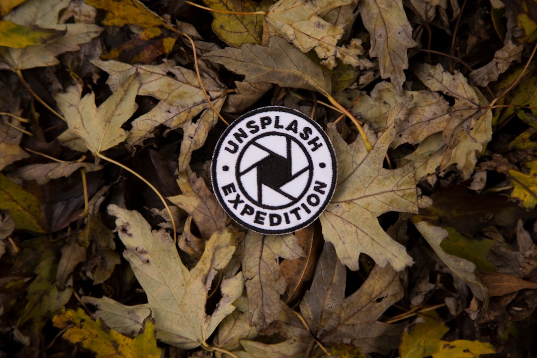 unsplash expedition patch on leaves