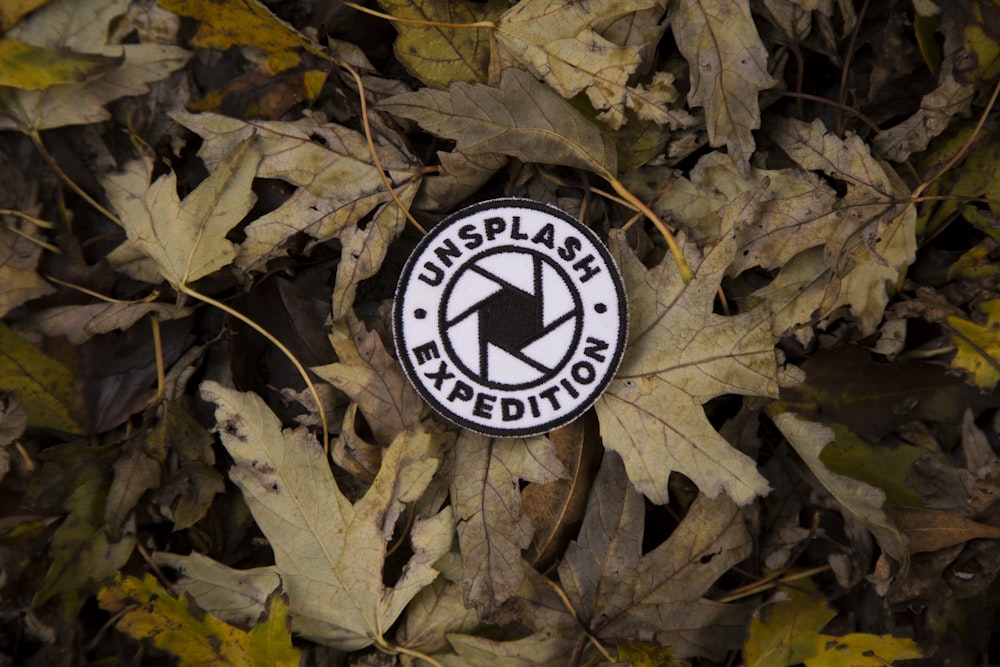 unsplash expedition patch on leaves