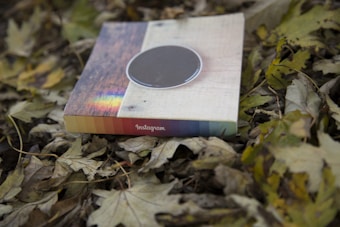 A square book or album with a multicolored spine, marked 'Instagram', rests on a bed of dried leaves. The cover of the book features a circular design with wooden and light textures.