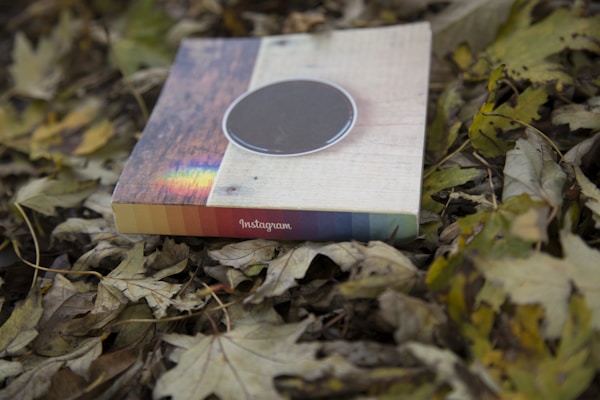 A square book or album with a multicolored spine, marked 'Instagram', rests on a bed of dried leaves. The cover of the book features a circular design with wooden and light textures.