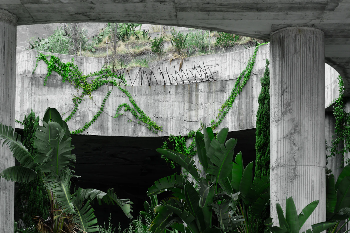 Plantas nativas junto a paredes de concreto aparente