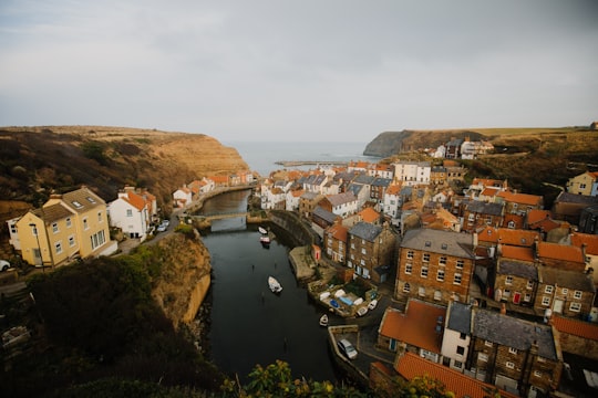 North York Moors National Park things to do in Whitby