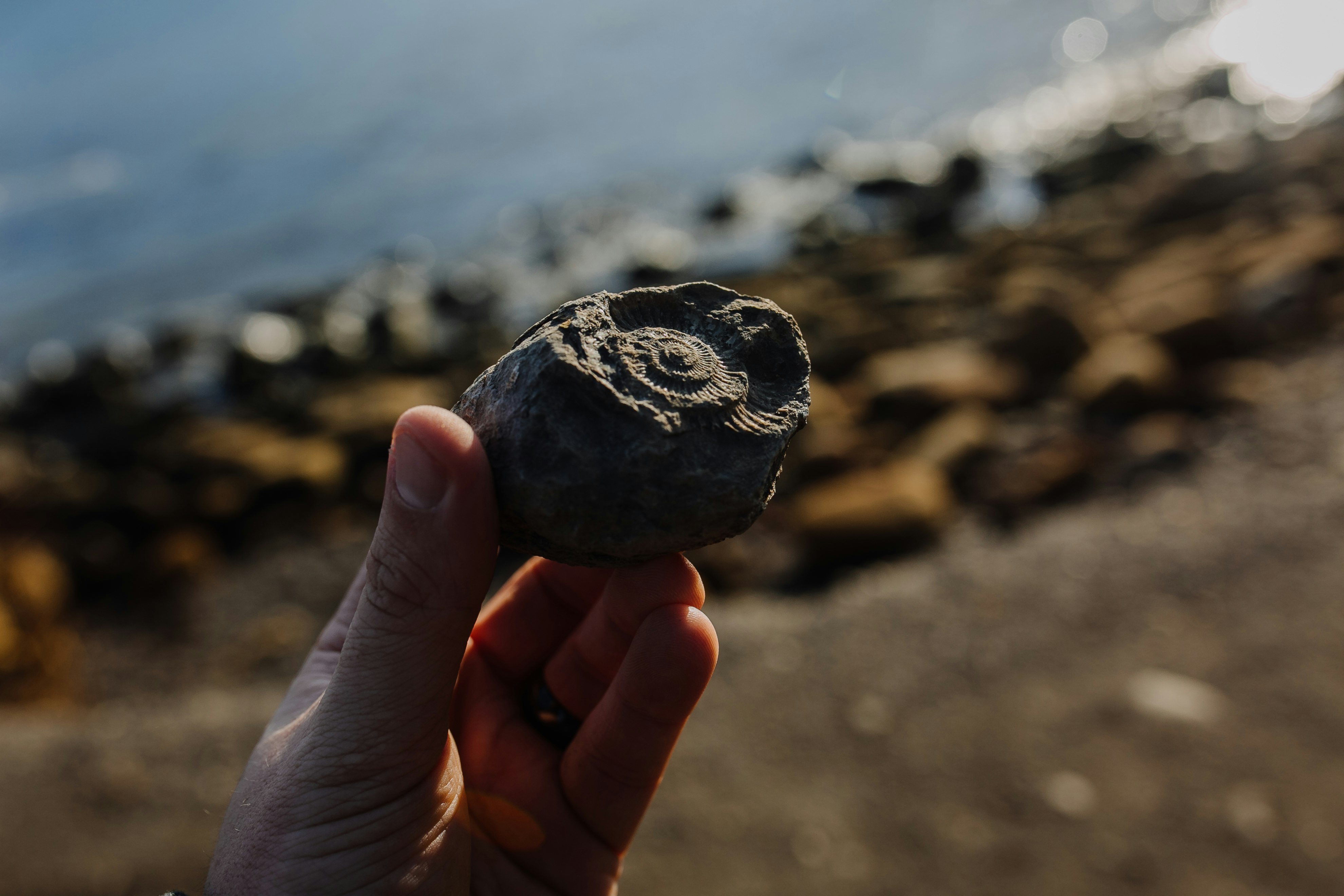 selective focus photography of person holding stone