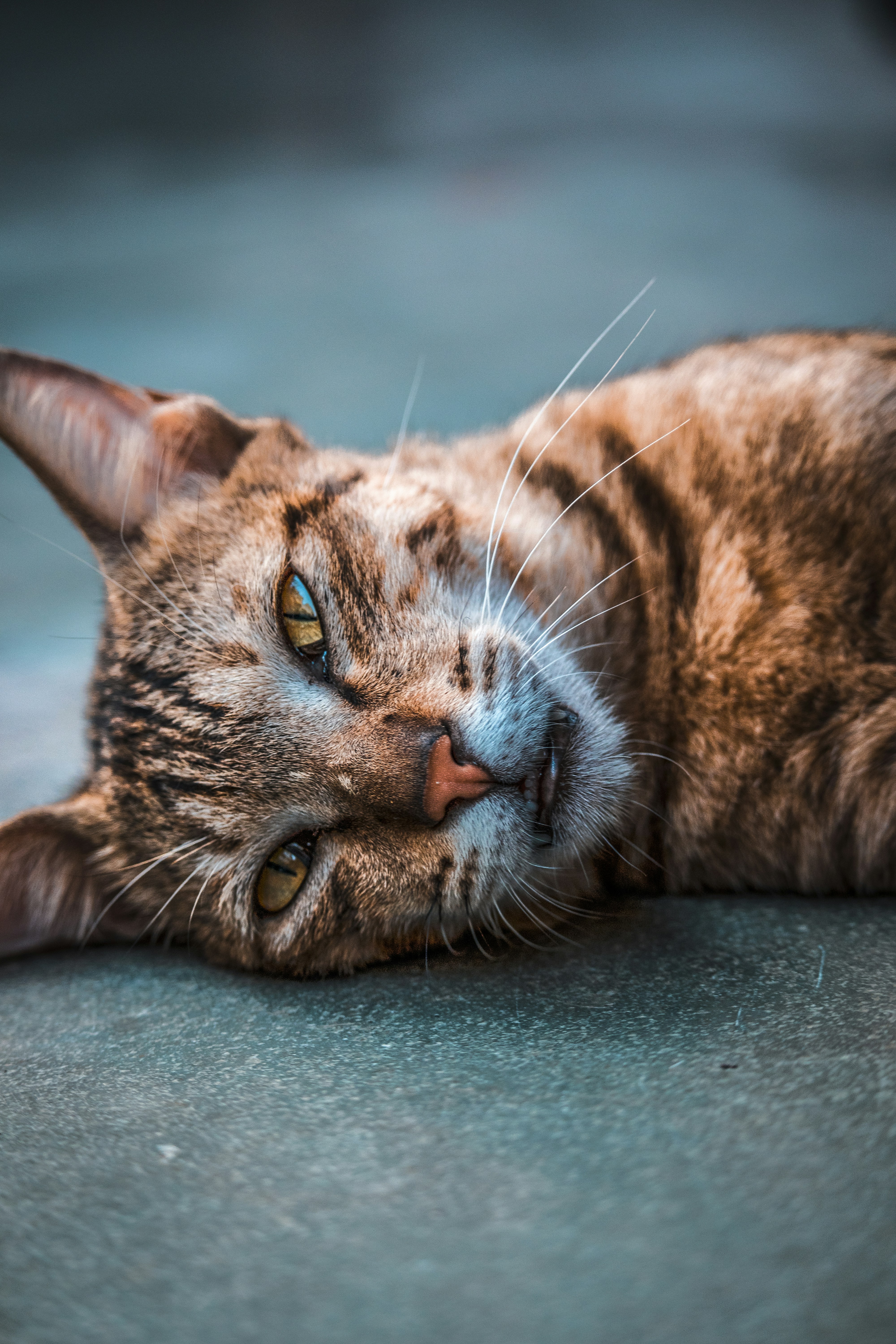 Photo by jaxprajapati