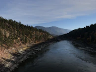 Wide shot of a river winding through lush pine forests under a clear blue sky.