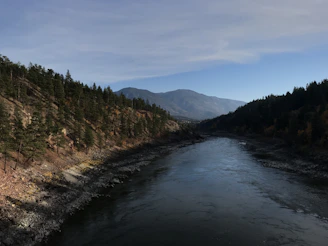 Wide shot of a river winding through lush pine forests under a clear blue sky.